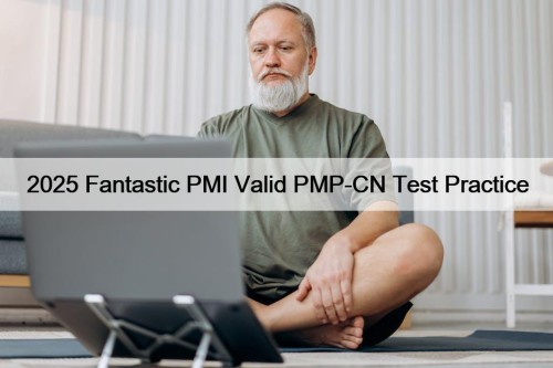 2025 Fantastic PMI Valid PMP-CN Test Practice